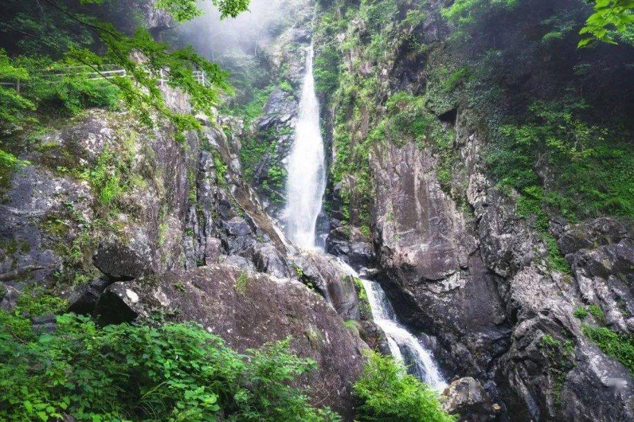 公主烹饪蛋糕